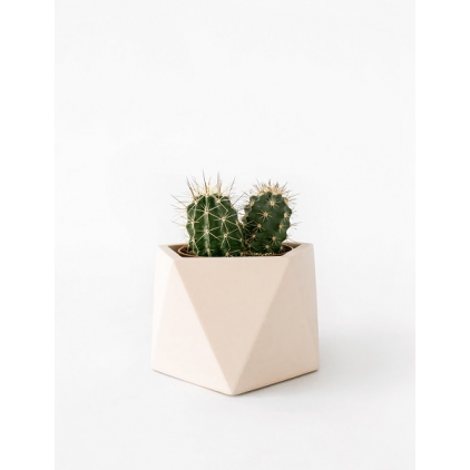 Mare Planter - Large - Millennial Pink
