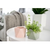 Mare Planter - Large - Millennial Pink
