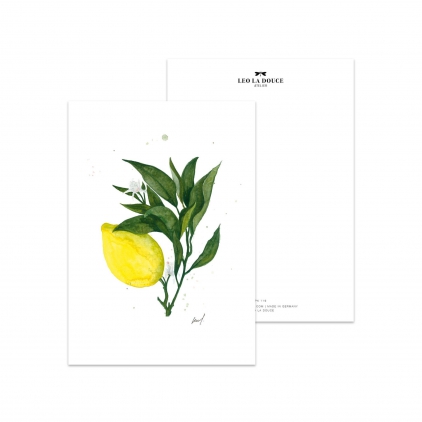 Postcard Lemon - 133