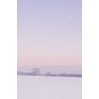 Carte Neige Pastel