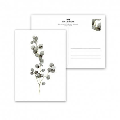 Postcard Eucalyptus