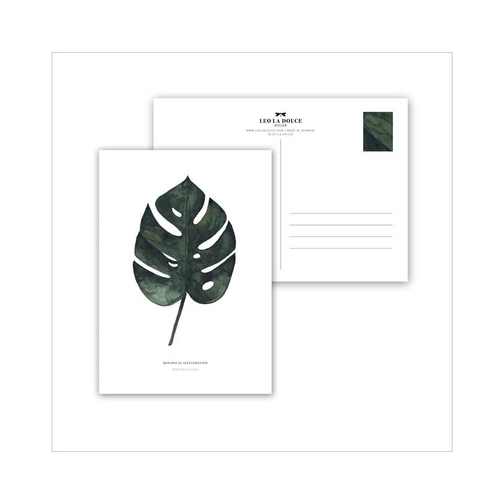 Postcard Monstera deliciosa - 013