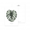 Postcard urban monstera - 041