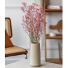 Botte - Gypsophile Rose