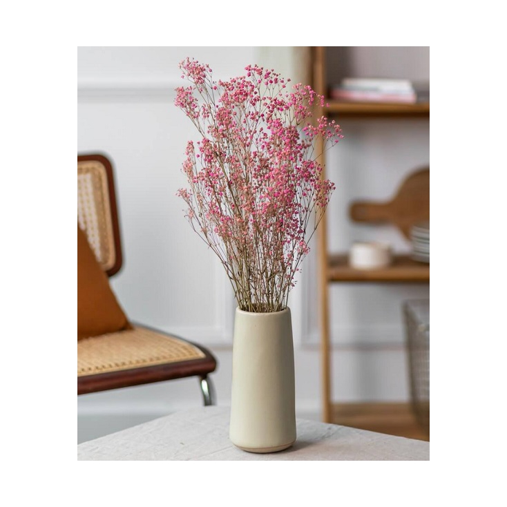 Botte - Gypsophile Rose