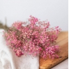 Botte - Gypsophile Rose