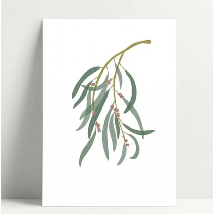 Carte simple - Eucalyptus