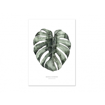 Affiche A2 Urban monstera