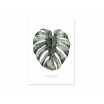 Affiche A2 Urban monstera
