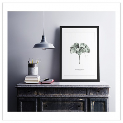 Affiche A2 Ginkgo leaf