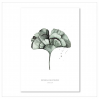 Affiche A2 Ginkgo leaf