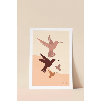 Affiche 30 x 40 cm  - Les colibris