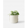 Noah Planter - Silver Green 