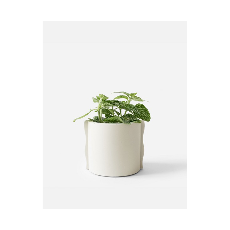 Noah Planter - Silver Green