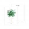 Postcard Fan palm - 042