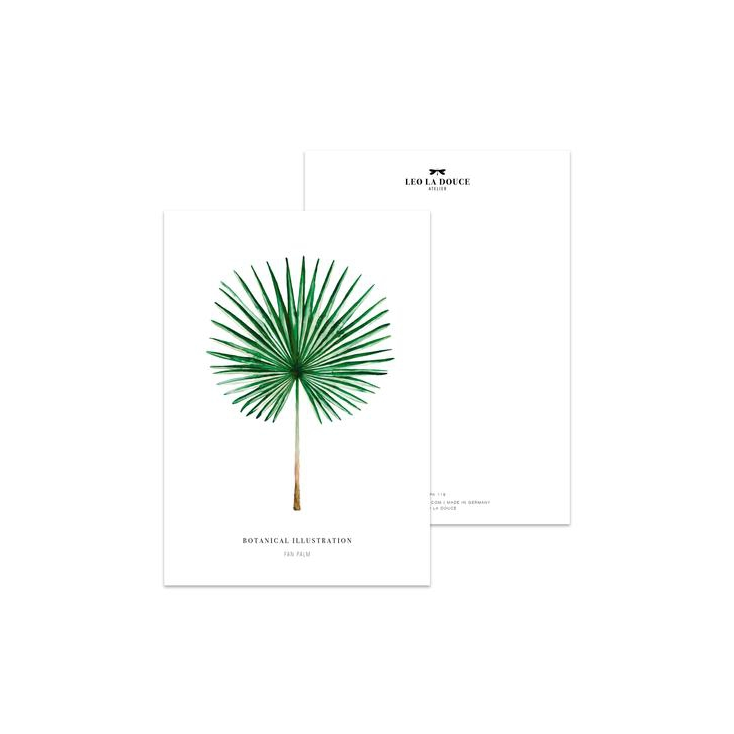 Postcard Fan palm - 042