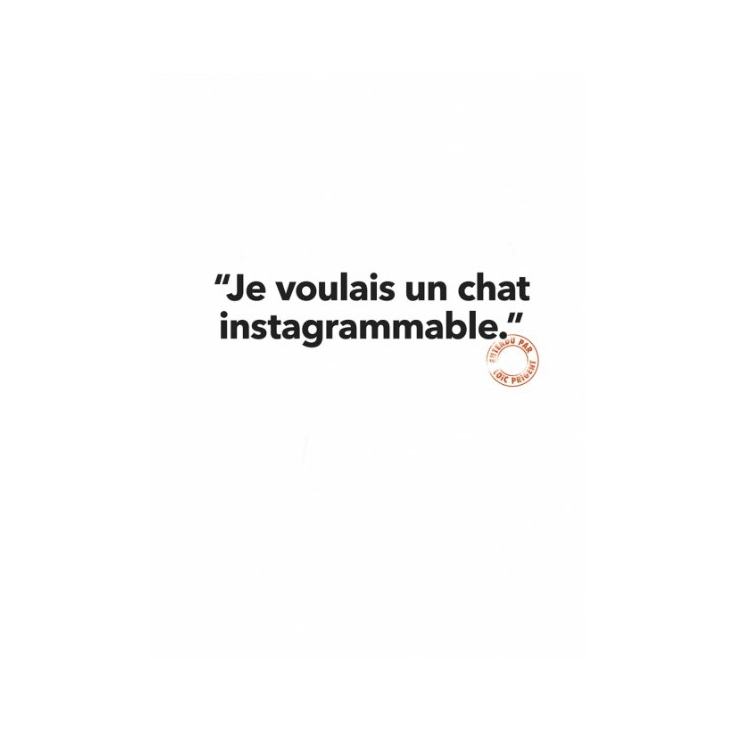 Carte Loic Prigent - Chat Instagrammable