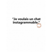 Carte Loic Prigent - Chat Instagrammable