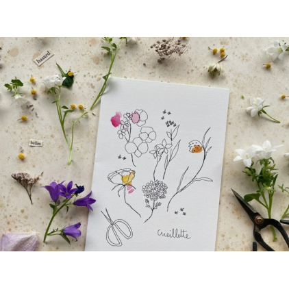 Papillonnage - carte postale - Cueillette