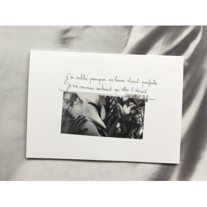 Papillonnage - carte postaleles - Les heures