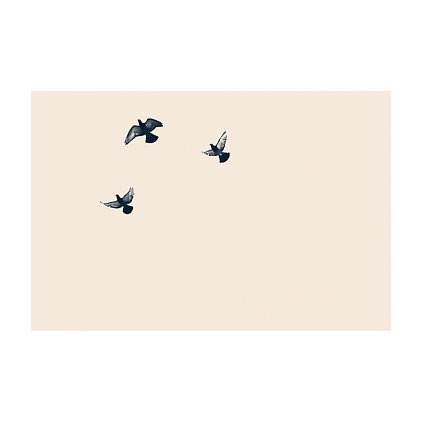 Carte 3 Oiseaux