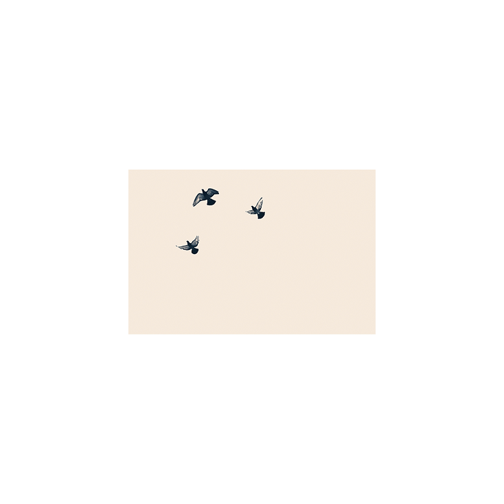 Carte 3 Oiseaux