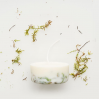 Soy wax candle - 220ml -Moss with moss fragrance