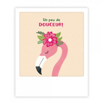 Mini carte postale Un peu de douceur flamingo MP0505FR