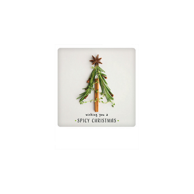 Carte postale Spicy Christmas XM0171EN