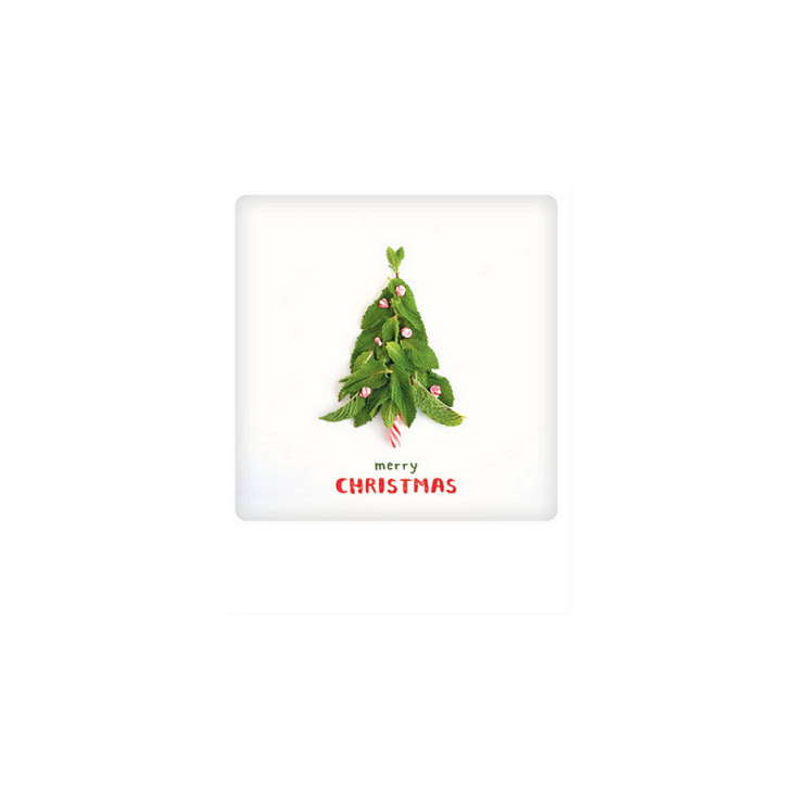 Carte postale - Merry Christmas Mint tree XM0202EN