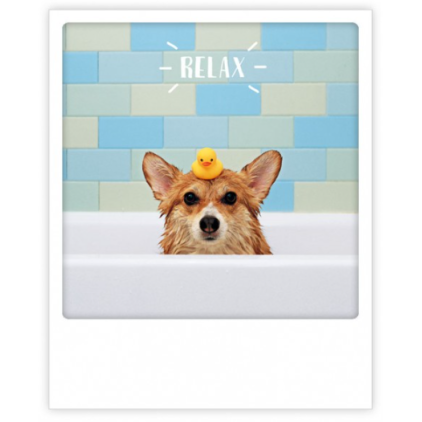 Carte postale- happy coffee-ZG0916EN