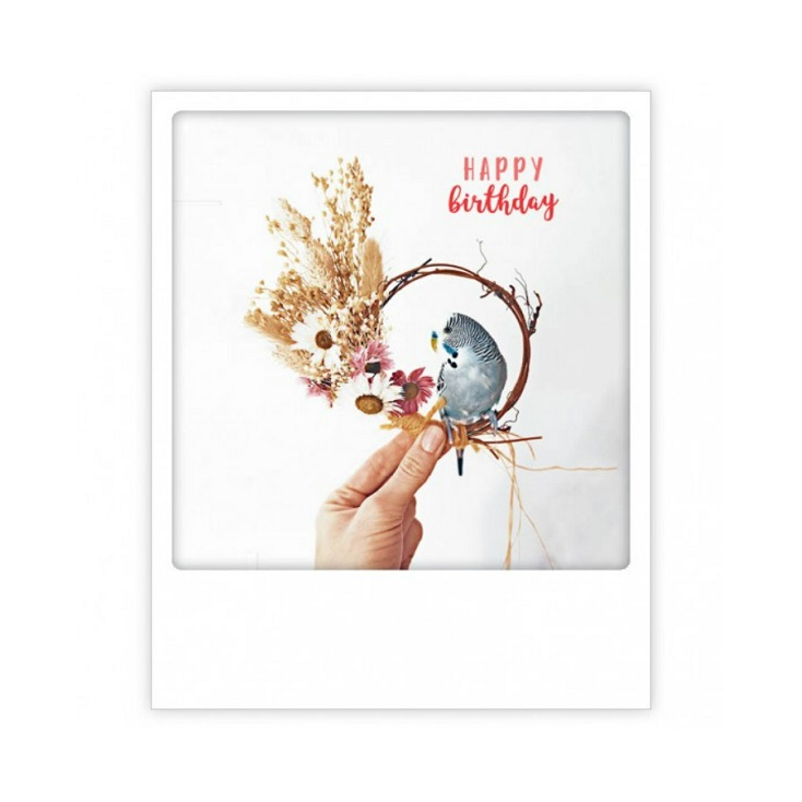 Carte postale Happy Birthday ZG0948EN