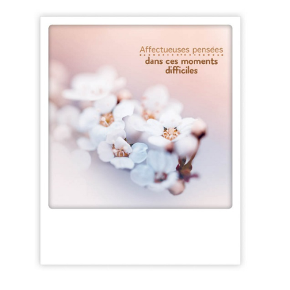 Carte postale - Condoléances - affectueuses pensées - ZG1333FR