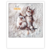 Carte postale - Best firend hedgehog cat - ZG1261EN
