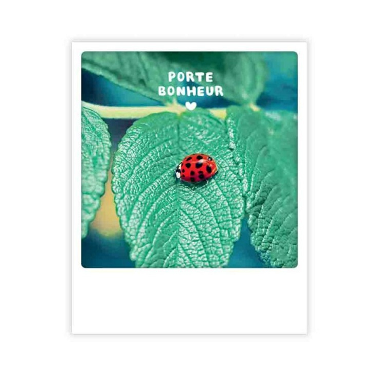 Carte postale - Porte bonheur - ZG1339FR