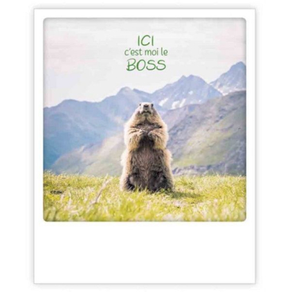 Carte postale - ici c'est moi le boss - ZG1304FR