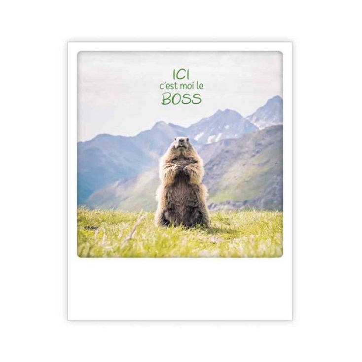 Carte postale - ici c'est moi le boss - ZG1304FR