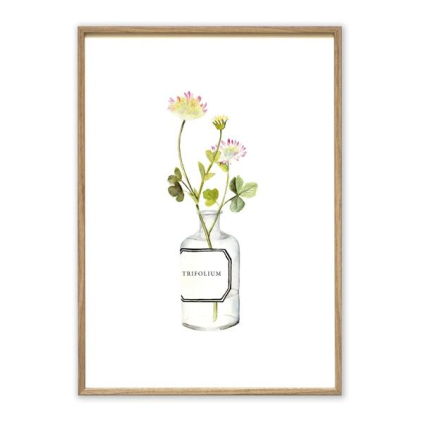 Affiche A4 Urban monstera