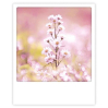 Carte postale- Flower dream -ZG1332