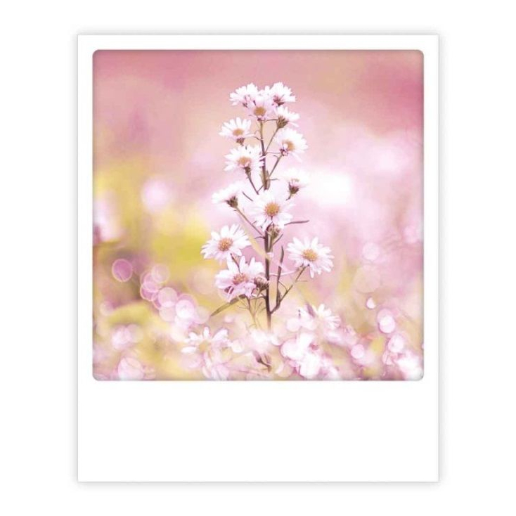 Carte postale- Flower dream -ZG1332
