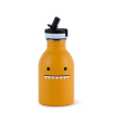 Urban bottle 250 ml Noodoll Ricedino - Vert