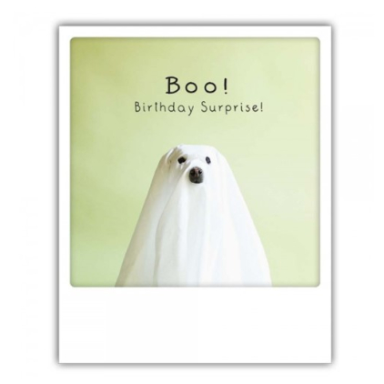 Carte postale - Boo birthday - ZG0571EN