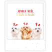 Carte postale Un doux et joyeux noel XM0210FR