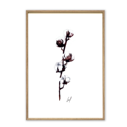 Affiche A4 Cotton