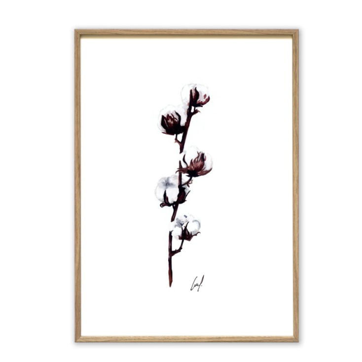 Affiche A4 Cotton