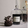 Scented candle - Botanist