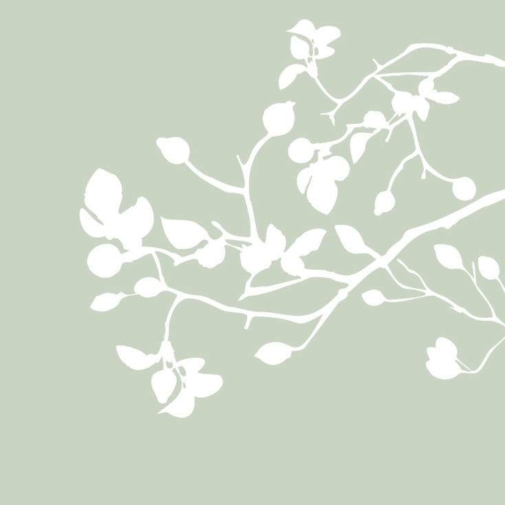 Serviettes en papier - pure branch green - 133002234