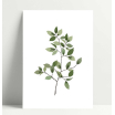 Carte simple - Noisette