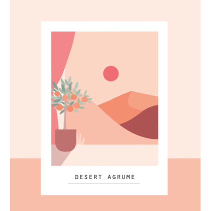 Carte postale - desert agrume