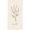 Serviettes en papier - Lavender - 16 pces - 95961-00